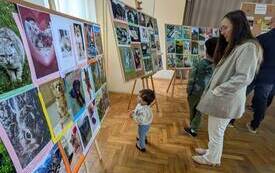 V Gminny Konkurs Fotograficzny &bdquo;Zwierzaki w obiektywie&rdquo; 23