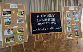 V Gminny Konkurs Fotograficzny &bdquo;Zwierzaki w obiektywie&rdquo; 25