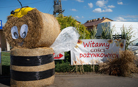 Dożynki Gminne 2026 - Zadąbrowie 145